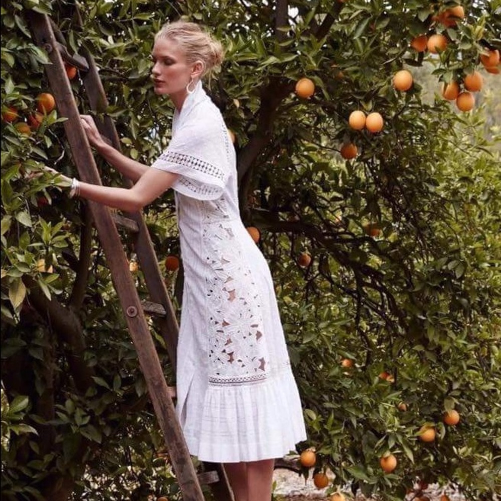 Anthropologie Dress